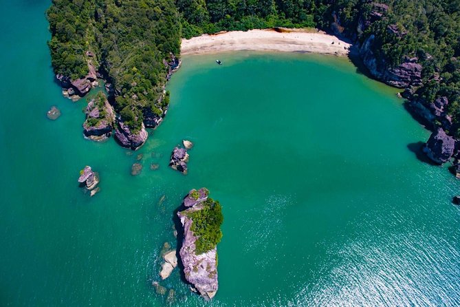 Sarawak Bako National Park Tour : Pristine Rainforest Jungle - Wildlife Encounters