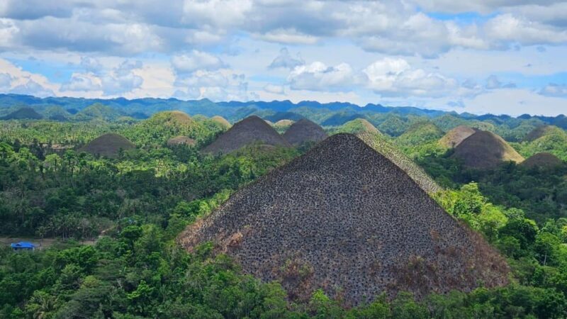 Sardines, chocolate hills, tarsiers, ATV,floating restaurant - Final Thoughts: Is This Tour Right for You?