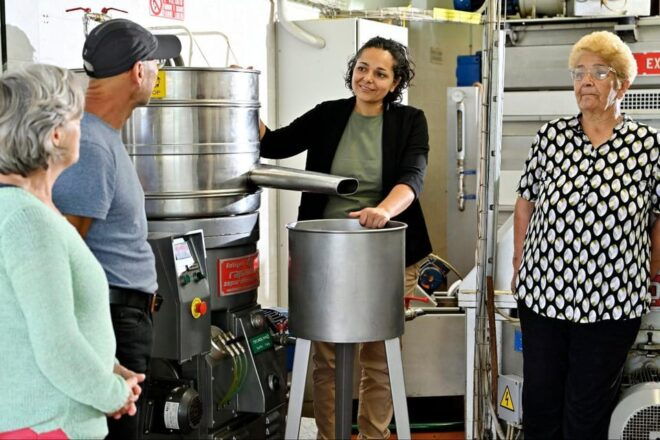 Sardinia: a Tour in the World of Extra Virgin Olive Oil - Experience Highlights