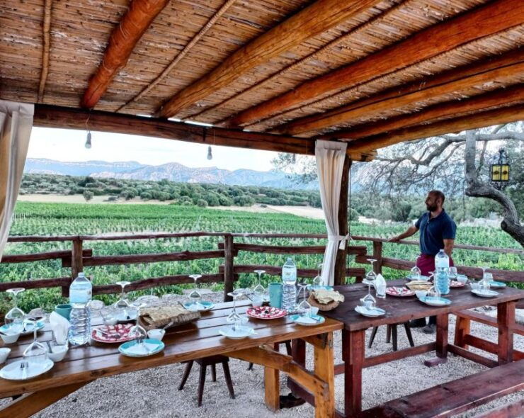 Sardinia: Dorgali Winery Tour With Tasting and Local Guide - Tour Duration and Location