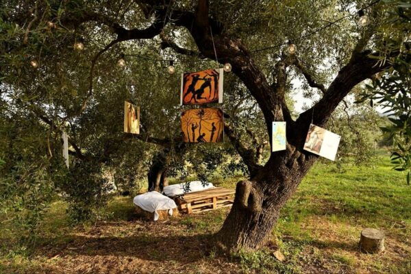 SARDINIA FOOD Tour in the Oil Mill, With Tasting, at Sunset. - Included Regional Foods