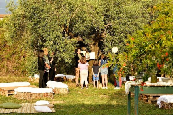 SARDINIA FOOD Tour in the Oil Mill, With Tasting, at Sunset. - Educational Aspects