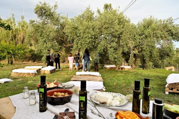 SARDINIA FOOD Tour in the Oil Mill, With Tasting, at Sunset. - Booking Information
