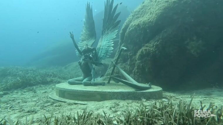 Sardinia, La Maddalena Archipelago: First Dive Experience - Dive Experience: What Happens Underwater