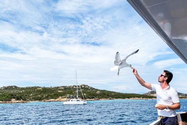 Sardinia: La Maddalena Archipelago Full-Day Trip by Boat - The Sum Up