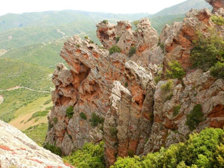 Sardinia, Monte Ruiu: Punta Manna Ring Hiking Guided Tour - Tour Details