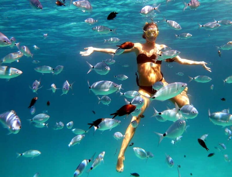 Sardinia: Morning Kayak Tour + Snorkeling and Local Aperitif - Good To Know