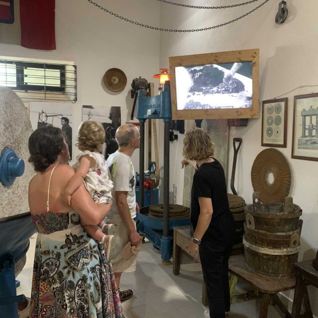 Sardinia Olive Oil Museum: Visit and Extravirgin Oil Lesson - State-Of-The-Art Mill Tour