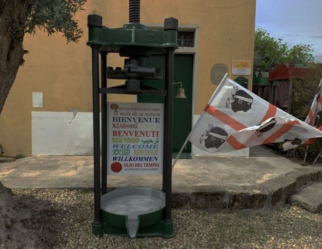 Sardinia Olive Oil Museum: Visit and Extravirgin Oil Lesson - Discerning High-Quality Extra Virgin Oil