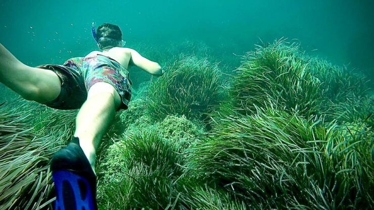 Sardinia: Snorkeling Kayak Tour - the Airplane Wreck - Itinerary Details