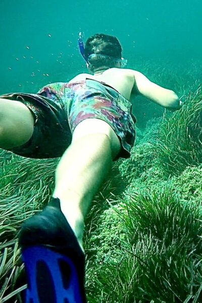 Sardinia: Snorkeling Kayak Tour - the Airplane Wreck - Frequently Asked Questions