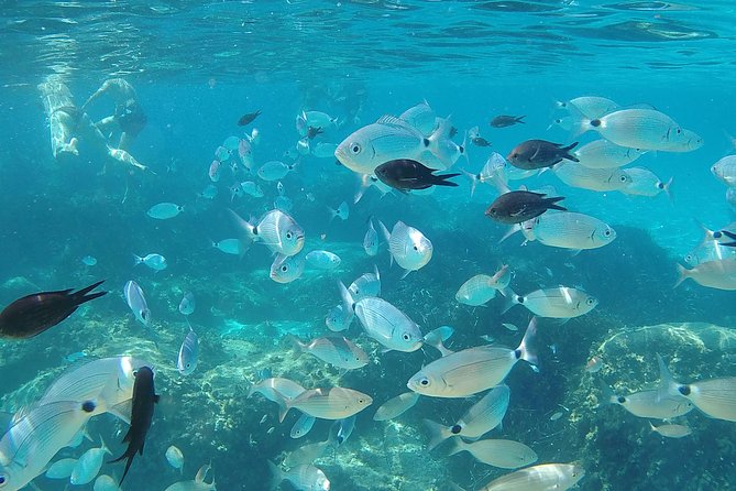 Sardinia Southeastern Coast Small-Group Tour From Cagliari - The Sum Up