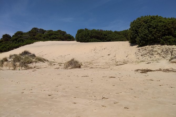 Sardinia Southwestern Coast Small-Group Tour From Cagliari - Tour Details and Inclusions
