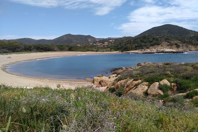 Sardinia Southwestern Coast Small-Group Tour From Cagliari - Additional Information