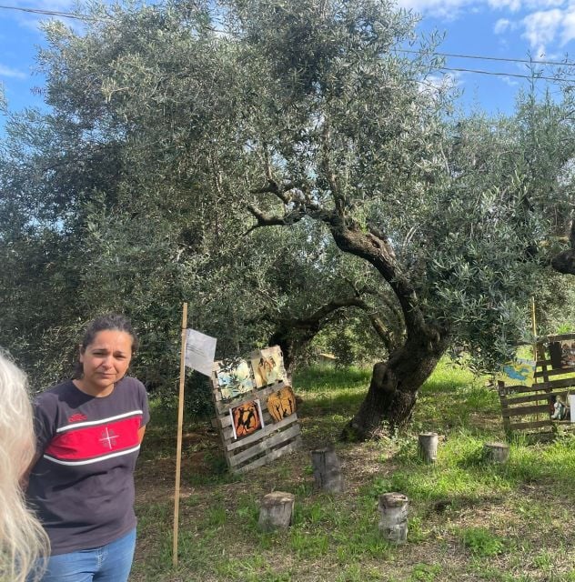 Sardinia: Tour in the World of Extra Virgin Olive Oil, in German - Language and Accessibility Information