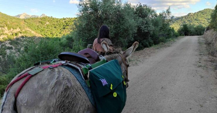 Sardinia: Tour With Donkeys and Aperitif by the River - Tour Highlights