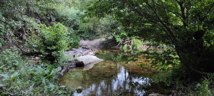 Sardinia: Tour With Donkeys and Aperitif by the River - Activity Overview