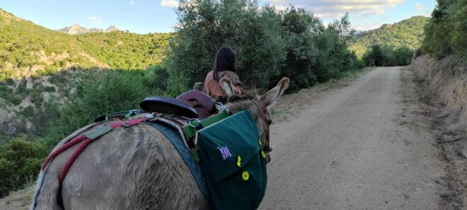 Sardinia: Tour With Donkeys and Aperitif by the River - Booking Information