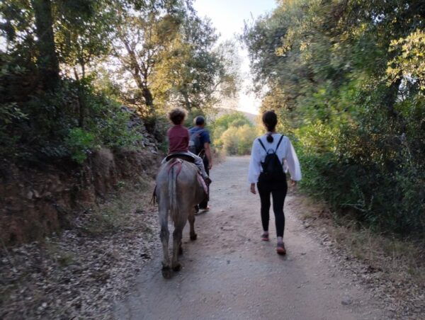 Sardinia: Tour With Donkeys and Aperitif by the River - Location and Directions