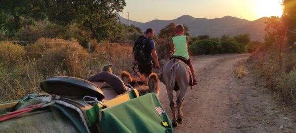 Sardinia: Tour With Donkeys and Aperitif by the River - Additional Tips