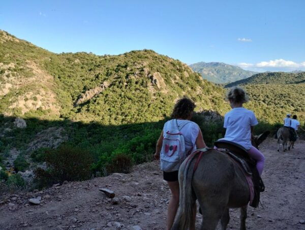 Sardinia: Tour With Donkeys and Aperitif by the River - Frequently Asked Questions