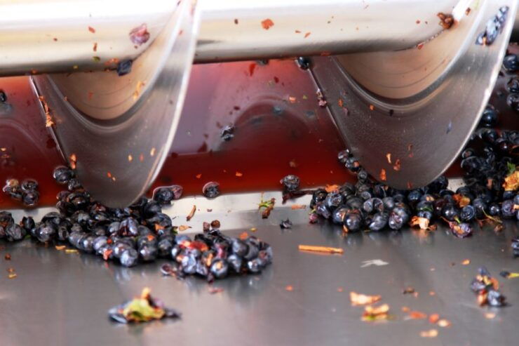 Sardinia: Winery Tour and Wine Tasting Experience - Booking Details