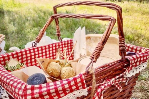Sardinian Olive Oil Tasting & Picnic Among the Olive Trees - The Sum Up