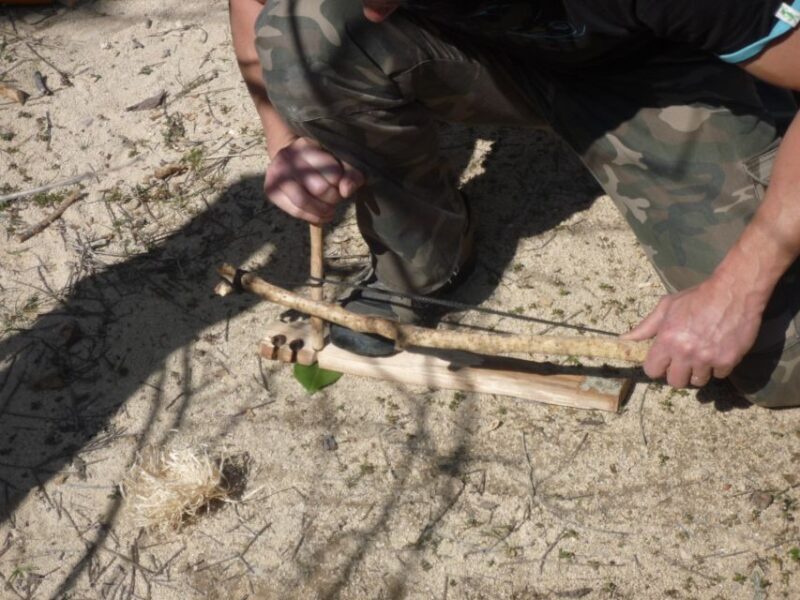 Sarlat : Private tour to Prehistoric Cave + Medieval Castle - The Sum Up