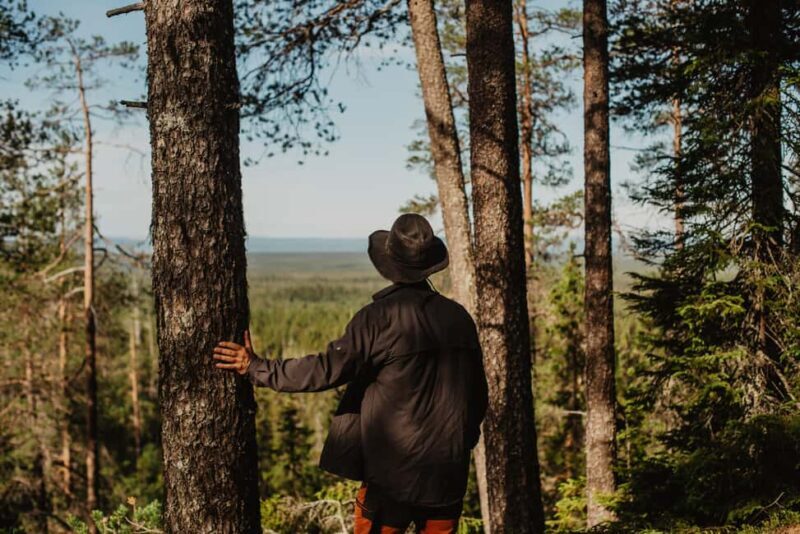 Särna: Brudslöjan Waterfalls Guided Hike with Lunch - The Return Journey and Views