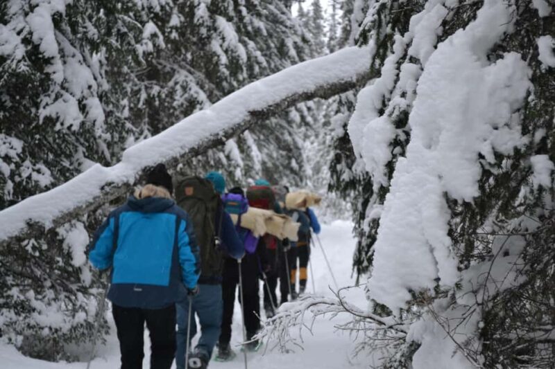 Särna: Fulufjället National Park Guided Hike with Lunch - A Closer Look at the Experience