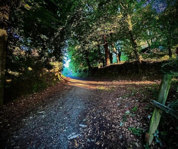 Sarria: Last 115KM of the Xacobean Route - What to Expect on the Journey