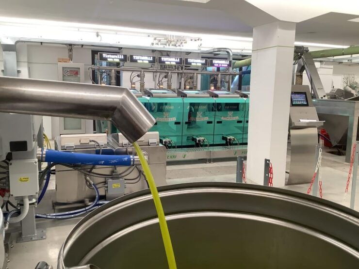 Sarteano: Tasting of Oils and Bruschetta - Tistarelli Oil Mill History