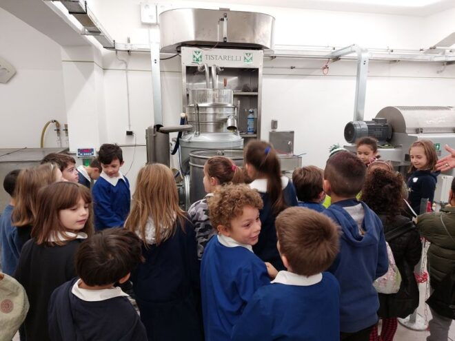 Sarteano: Visit to the Mill and Olive Oil Tasting - Additional Information