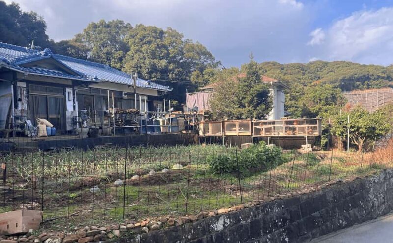 Sasebo: Farmhouse Visit with Goats, Tea, and Lunch - Good To Know