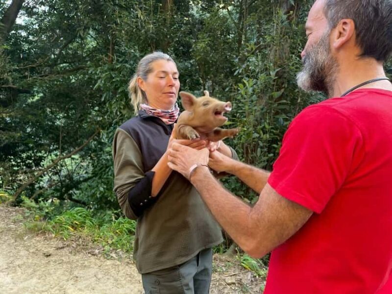 Sasebo: Farmhouse Visit with Goats, Tea, and Lunch - Who Is This Tour Best For?