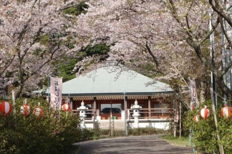 Sasebo: History, Crafts, and Sights Guided Tour with Lunch - Discovering Sasebo: A Well-Rounded Cultural Journey