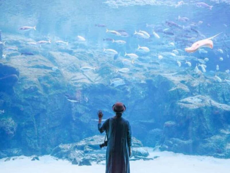 Sasebo: Kujukushima Cruise, Temple, and Sushi Workshop - The Sum Up