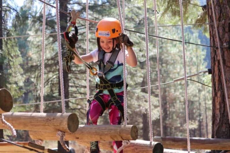 Sasquatch Hollow: Kids Zipline Adventure - Highlights of the Experience