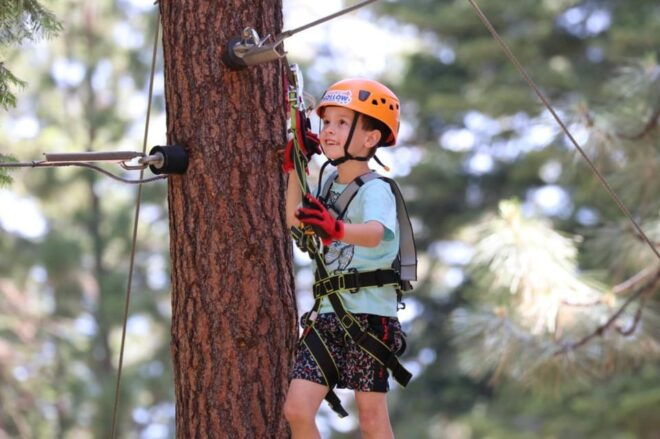 Sasquatch Hollow: Kids Zipline Adventure - Safety and Guidance