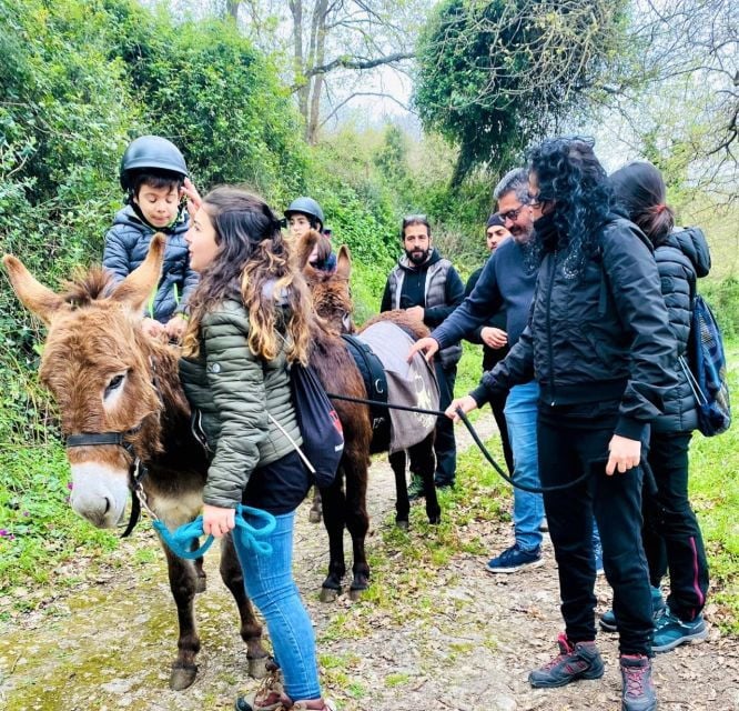 Sassari: Hiking With Donkeys in Cargeghe and Aperitif - Discovering Historical Sites