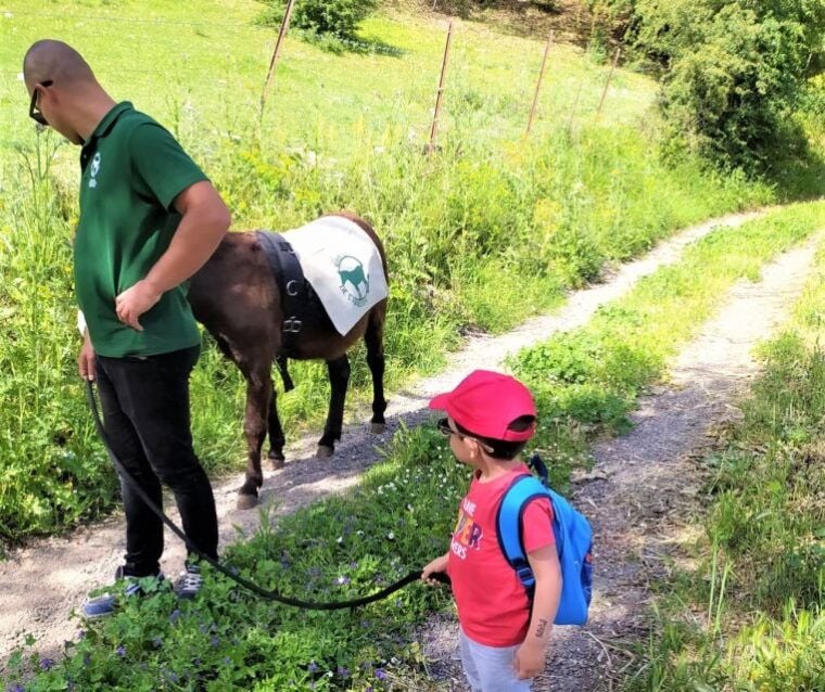 Sassari: Hiking With Donkeys in Cargeghe and Aperitif - Enjoying a Refreshing Aperitif
