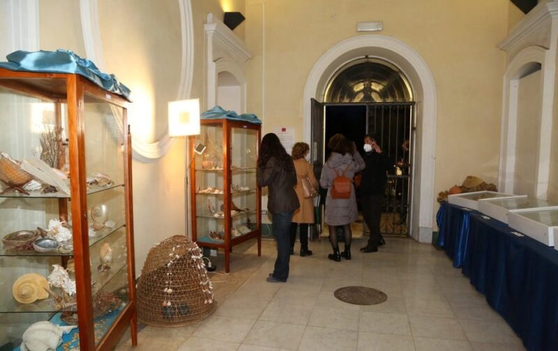 Sassari: visit the Sea and Water Ecomuseum - Interactive Learning About the Water Cycle