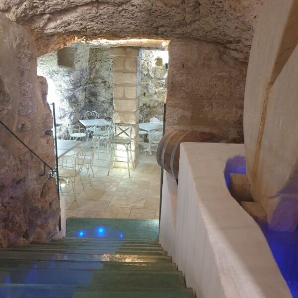 Sassari: Visit to a Historic Shop & Aperitif - The Sum Up