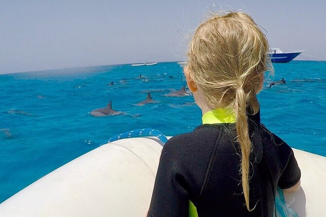 Sataya Dolphin House Snorkel Trip - Marsa Alam - Pricing and Booking Details