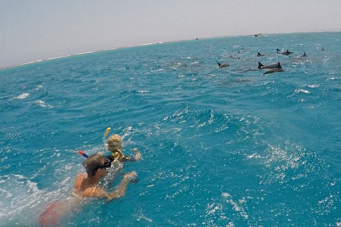 Sataya Dolphin House Snorkel Trip - Marsa Alam - The Sum Up
