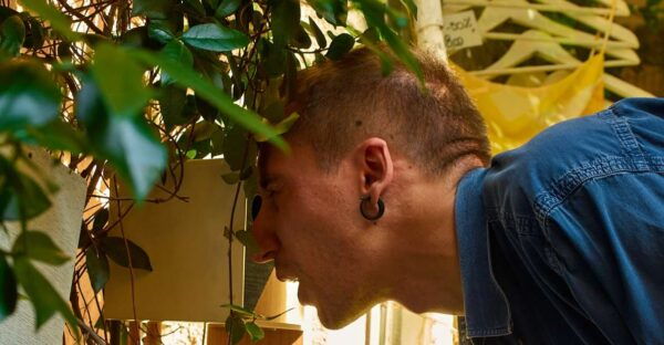 Sato Code Escape Room Across Milan - Common Questions