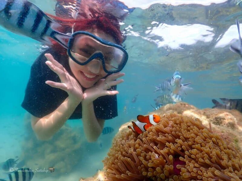 Sattahip: Private Half Day Snorkeling tour - What to Expect When You Join