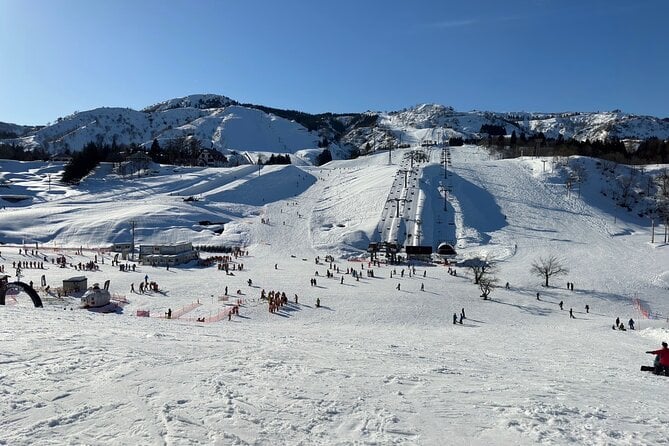 Saturday Only Snowboard Day Trip Departing Tokyo - Activity Itinerary and Highlights