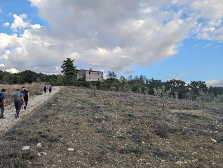 Saturnia: the Misterious Healing Waters - Background Information