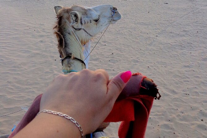 Saudi Arabia Private Tour From Bahrain With Traditional Meal - Tour Reviews